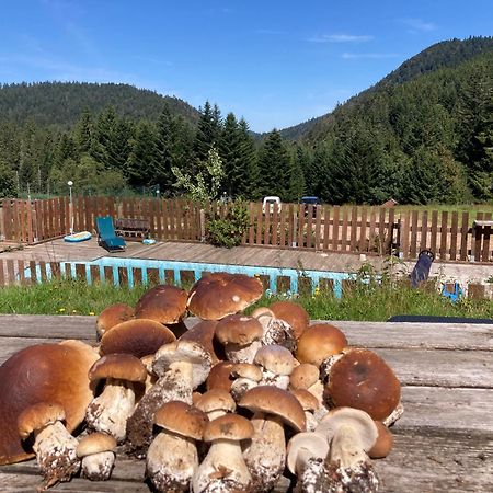 Le Perchoir- Grand Valtin 6 Pers Apartman Ban-sur-Meurthe-Clefcy Kültér fotó