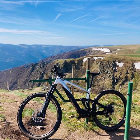 Le Perchoir- Grand Valtin 6 Pers Apartman Ban-sur-Meurthe-Clefcy Kültér fotó