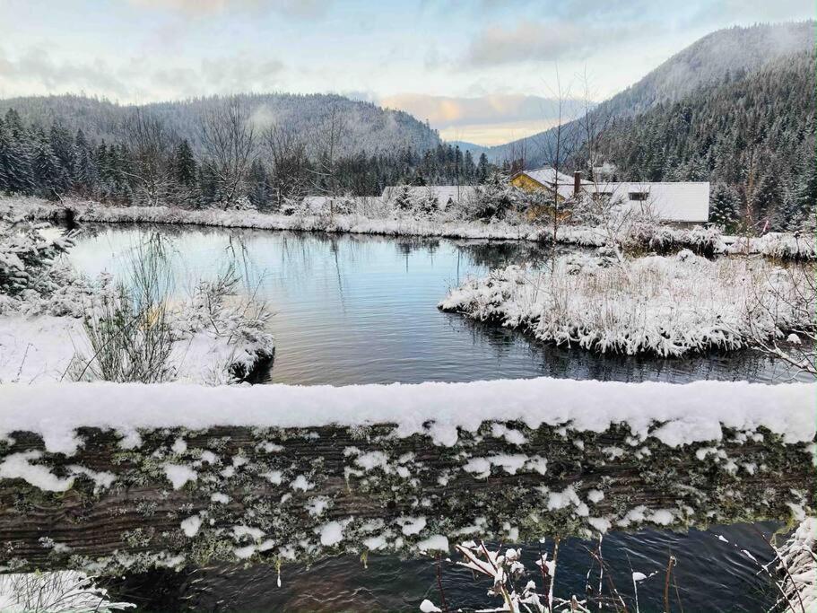 Le Perchoir- Grand Valtin 6 Pers Apartman Ban-sur-Meurthe-Clefcy Kültér fotó