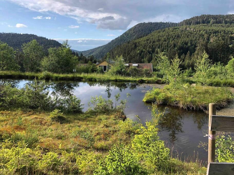 Le Perchoir- Grand Valtin 6 Pers Apartman Ban-sur-Meurthe-Clefcy Kültér fotó