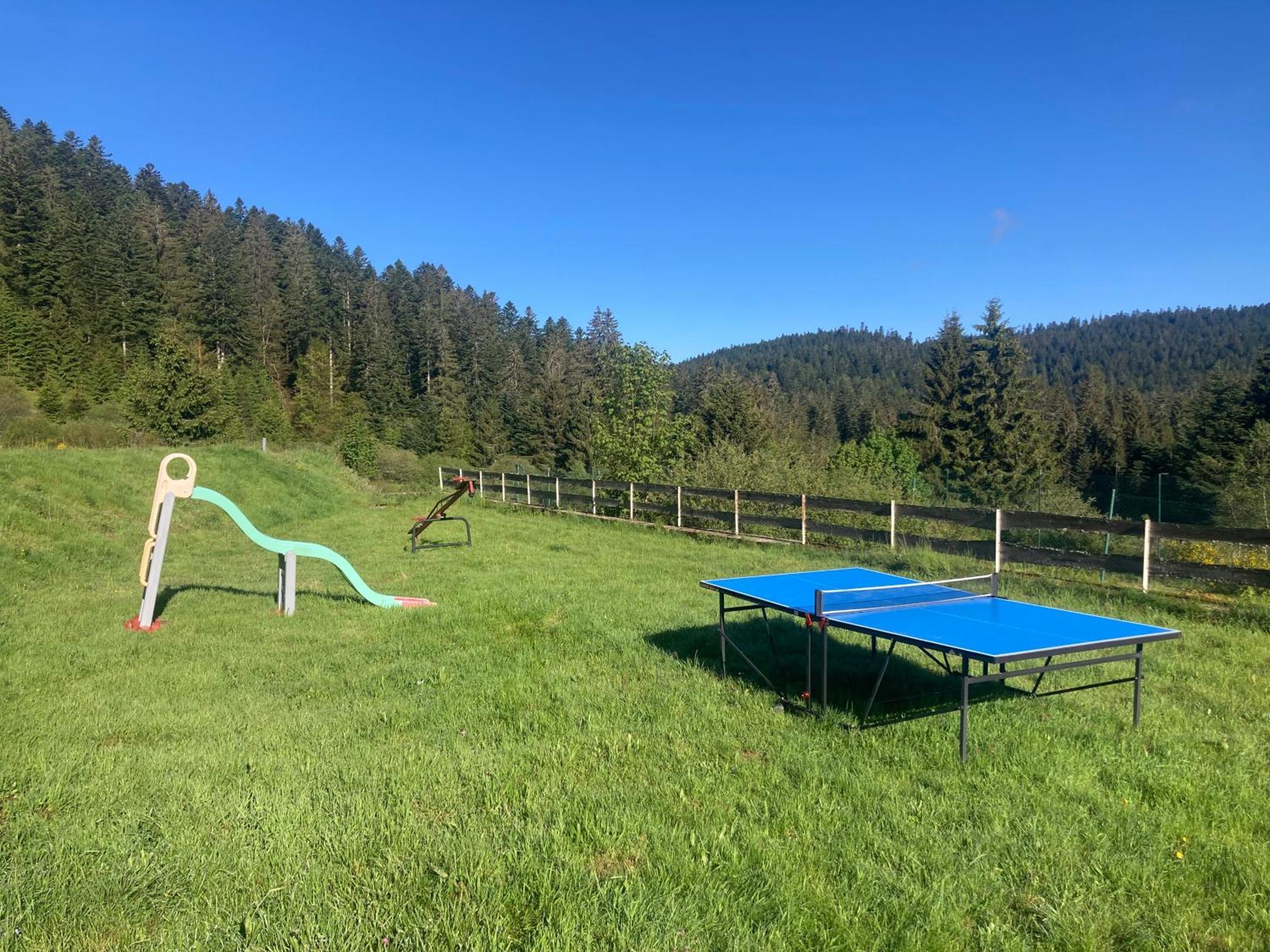 Le Perchoir- Grand Valtin 6 Pers Apartman Ban-sur-Meurthe-Clefcy Kültér fotó